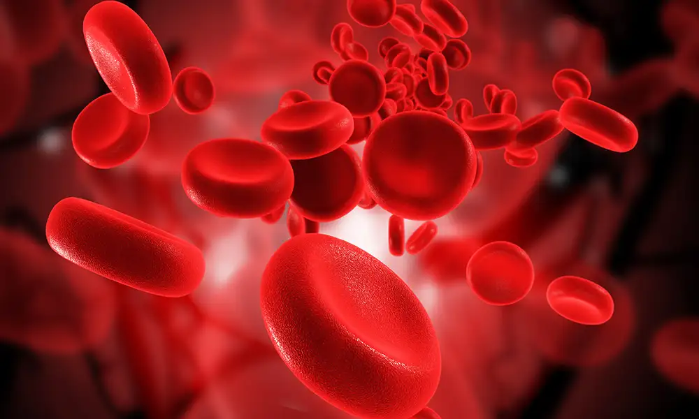 Blood - Disorders, Types, Symptoms & Causes